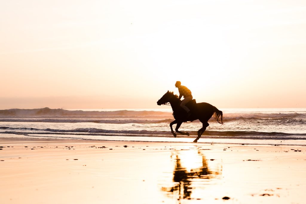 Sand & Saddle ~ Morocco
