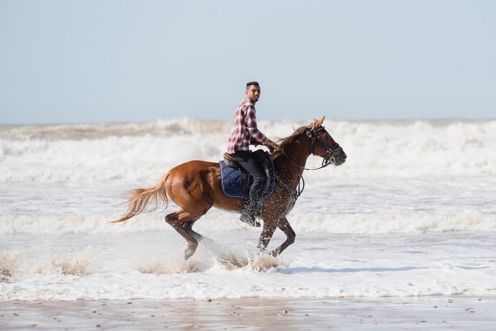 Sand & Saddle ~ Morocco