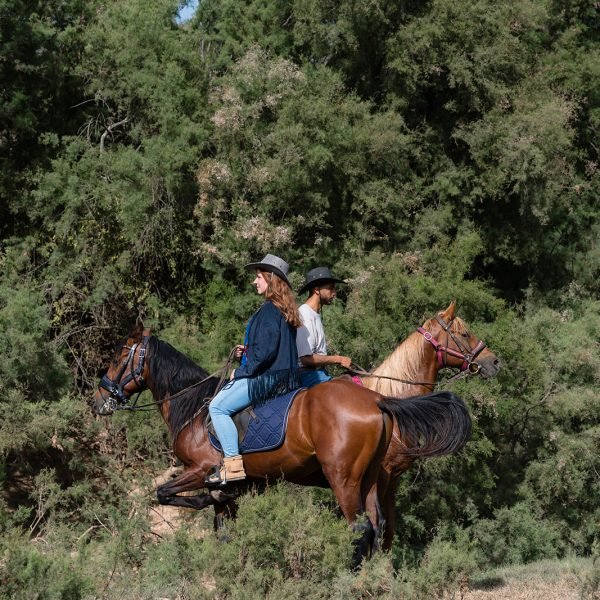 Sand & Saddle May 2026