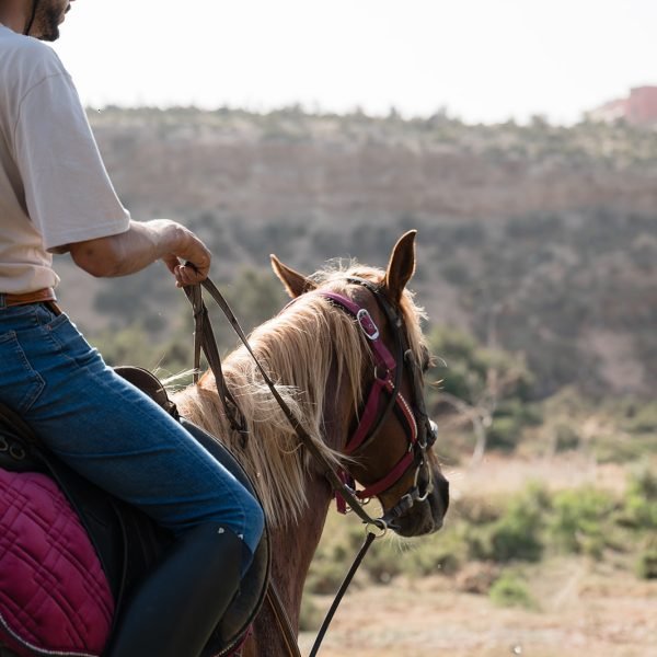 Sand & Saddle May 2026