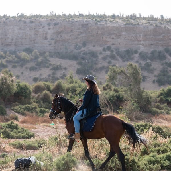 Sand & Saddle May 2026