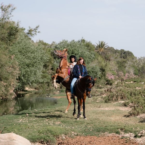Sand & Saddle May 2026