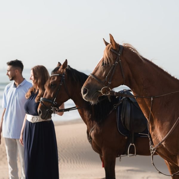 Sand & Saddle May 2026