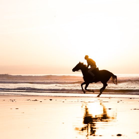 Sand & Saddle ~ Morocco