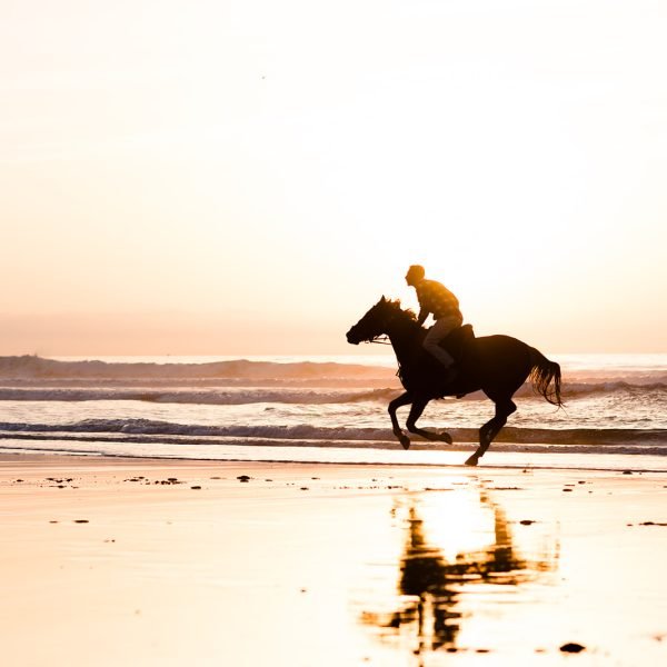 Sand & Saddle ~ Morocco