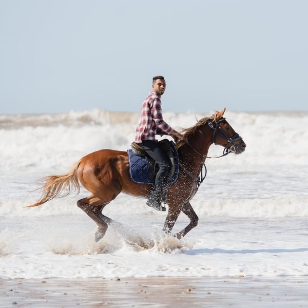 Sand & Saddle ~ Morocco