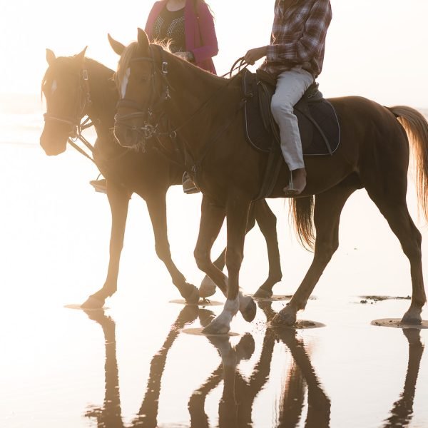 Sand & Saddle ~ Morocco