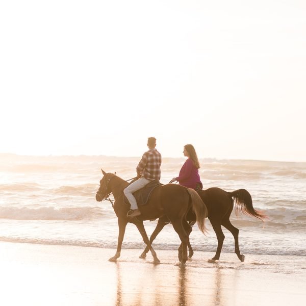 Sand & Saddle ~ Morocco