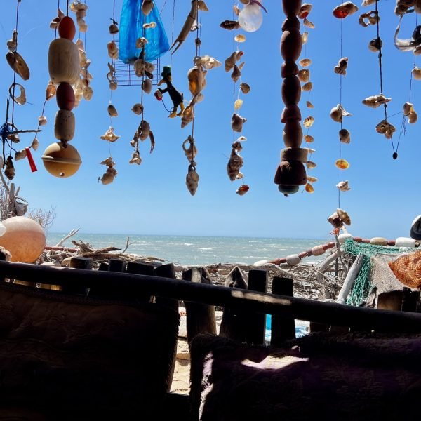 IMG_4114