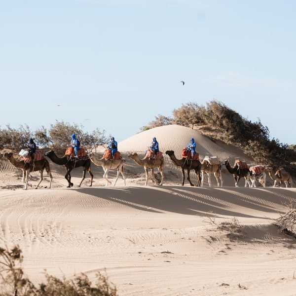 Sand & Saddle ~ Morocco