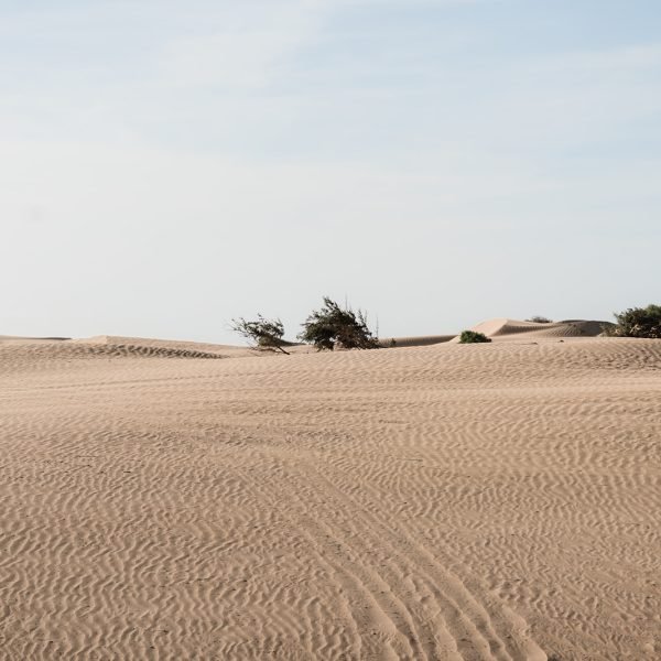 Sand & Saddle ~ Morocco