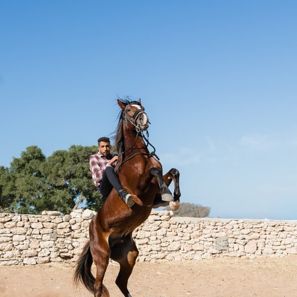 Sand & Saddle ~ Morocco
