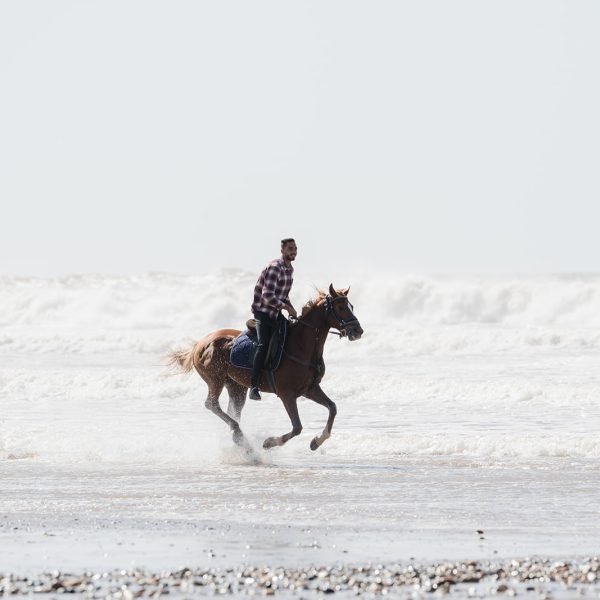 Sand & Saddle ~ Morocco