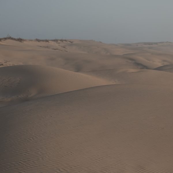 Sand & Saddle May 2026